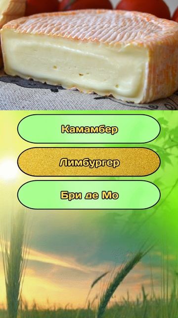 Викторина на общие знания и эрудицию №8 / Тест на эрудицию #викторина #тест #эрудиция #квиз #quiz смотреть онлайн