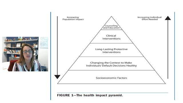 Health Impact Pyramid SDOH смотреть онлайн
