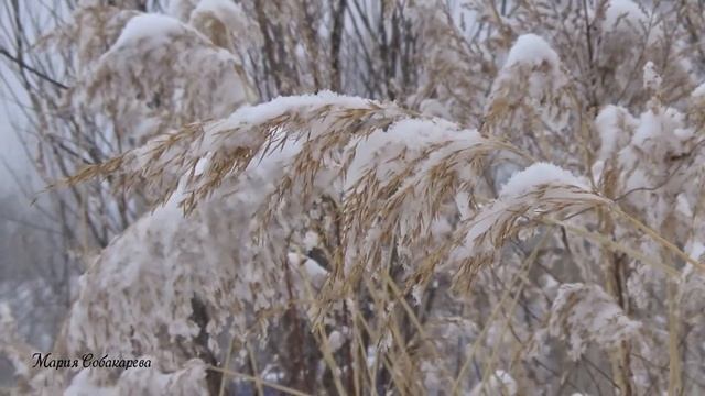 Пришла зима 26.03.19г смотреть онлайн