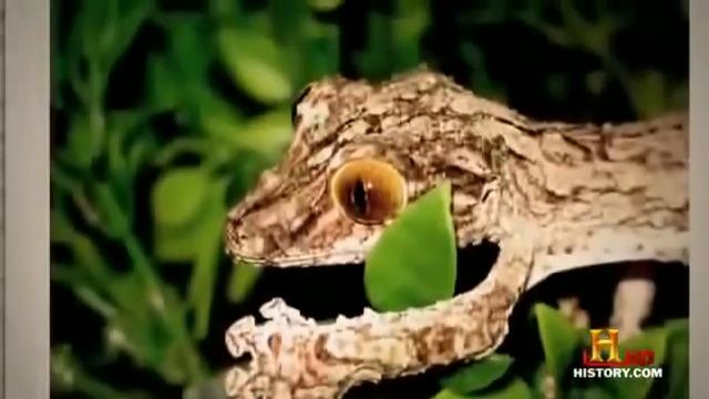 Military Terminator Robots Future Killer Army | Full Documentary смотреть онлайн