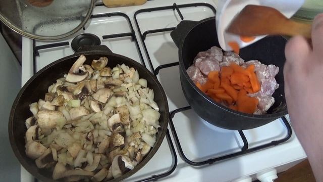 Видео о животных: Звериный сознание