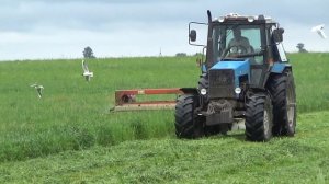 Комбайнеры-трактористы 2019