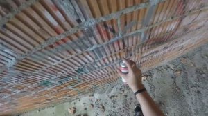 GRAFFITI day witch Bober Caron Resh