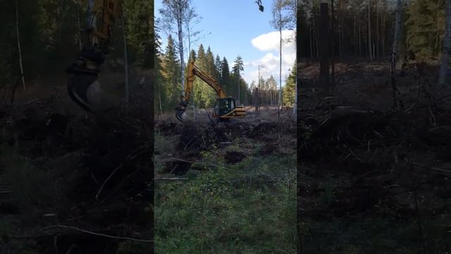 Markberedning смотреть онлайн