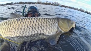 Трофейный Амур. Подводная Охота в Башкирии
