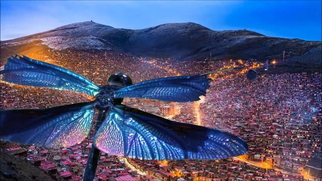 Dragonfly - New Mission