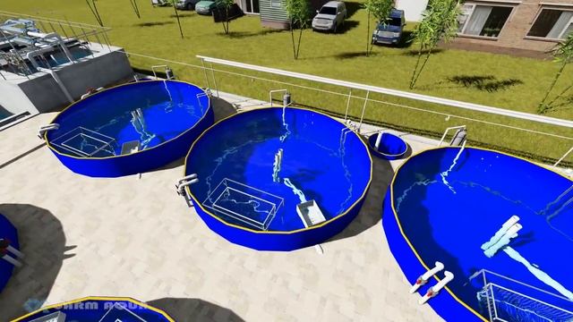 Recirculation Aquaculture System eel farm 12 Tanks design смотреть онлайн