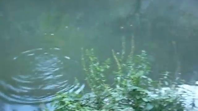 hayastanum zknorsutyun смотреть онлайн