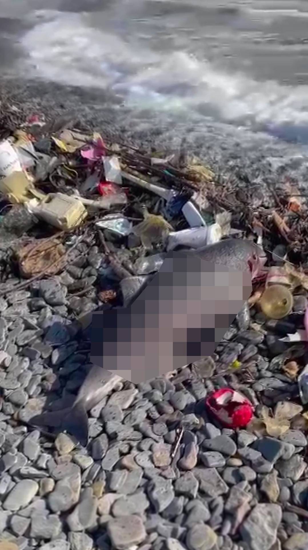 Анапа. Ужас на пляже Большого Утриша😲. смотреть онлайн