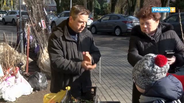 Новости Гродно (Выпуск 05.03.20). News Grodno. Гродно Плюс смотреть онлайн