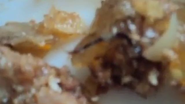 Волосатая находка смотреть онлайн