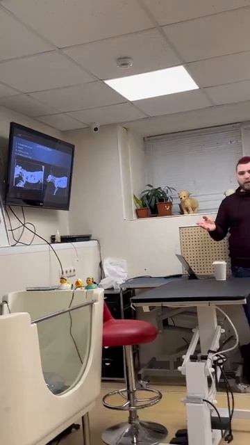 Лекция «Синдром коллапса трахеи» для сотрудников «Зоосалона на Пресне» смотреть онлайн