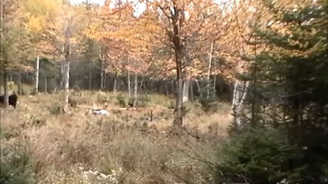 Mon film de chasse 2017 смотреть онлайн