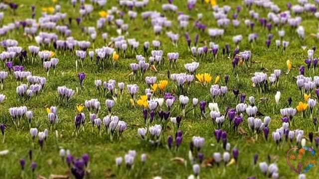 Будем все как дети! Видеоклип на cover Будем все как дети смотреть онлайн