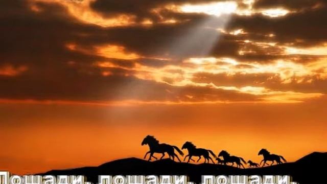 Не гоните друзья, лошадей смотреть онлайн