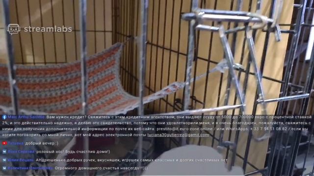 Телеканал "Муркоша" смотреть онлайн