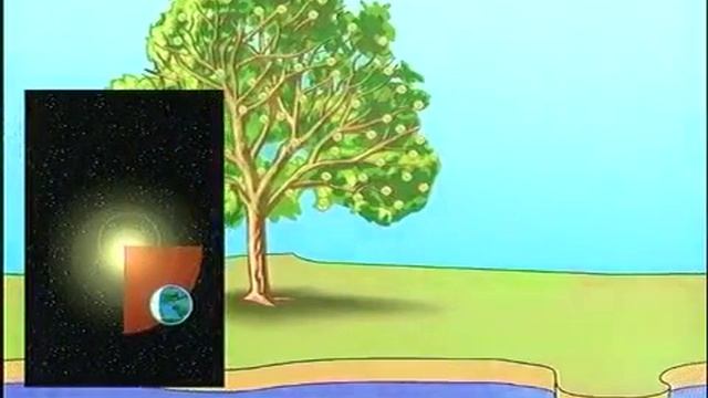 Spotlight 4 SB Module 4 At the Zoo p. 62 ex. 1 Months of the Year смотреть онлайн