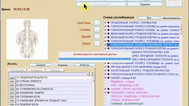 Демонстрация - тест Mageric-Биотест ,врач-кинезиолог Горьковая Елена. Купить прибор_ +79184818622
