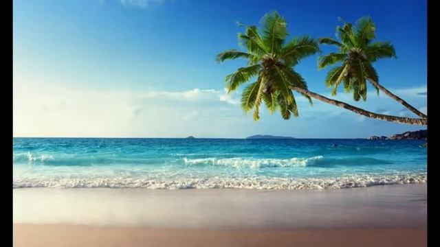 What Should I Consider When Choosing a Beach Resort смотреть онлайн