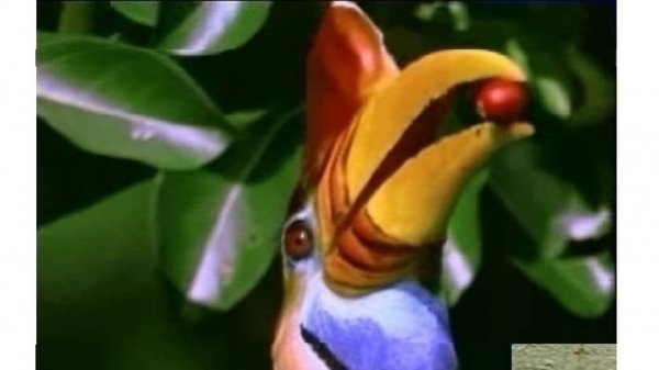 2-8  БиоИнженерия     Кооперативное поведение вместо отбора и конкуренции  Дарвина    Маскировка