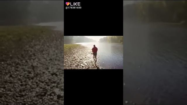 Мемы из лайка смотреть онлайн