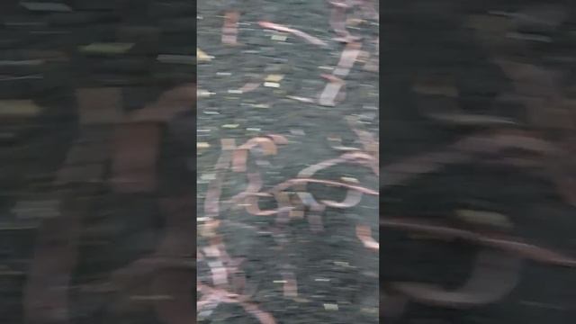 Очередной рабочий день - кормление. Заодно и подготовка червя к фасовке. смотреть онлайн