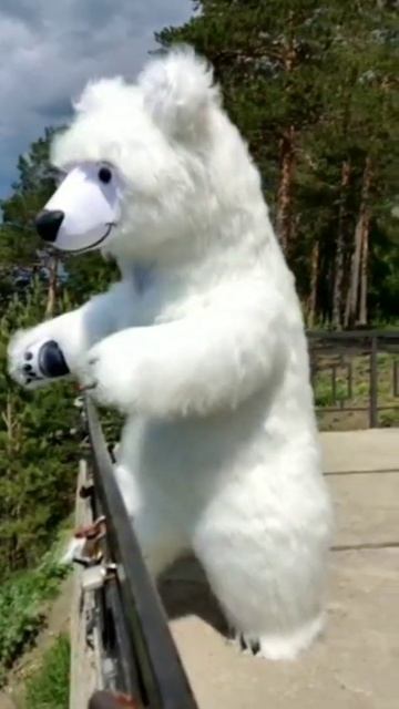 Белый медведь для поздравлений. Надувные костюмы на заказ смотреть онлайн