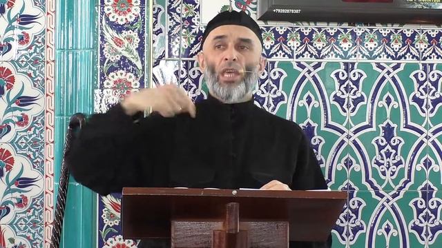 Хьа дешар пайдан дац, хьо вашаш тешаш веце! смотреть онлайн