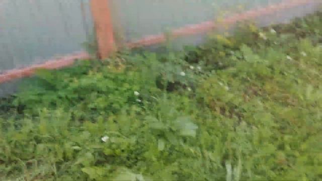 Червячная заначка. смотреть онлайн