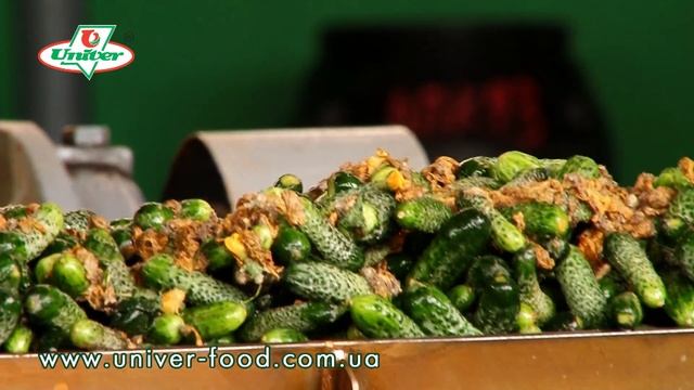 завод "УНІВЕР" ролік смотреть онлайн