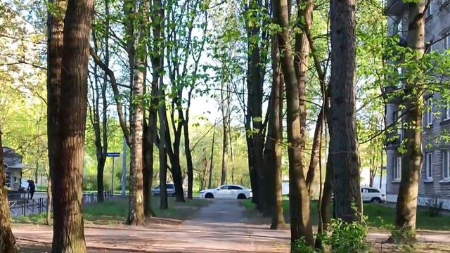 Без слов, просто красиво. Мой район, весна, 13.05.2003 смотреть онлайн