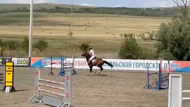 продажа спортивной лошади смотреть онлайн