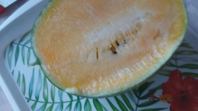 Разведение Тайских арбузов в Сибири. Компостная куча. Зона отдыха. смотреть онлайн