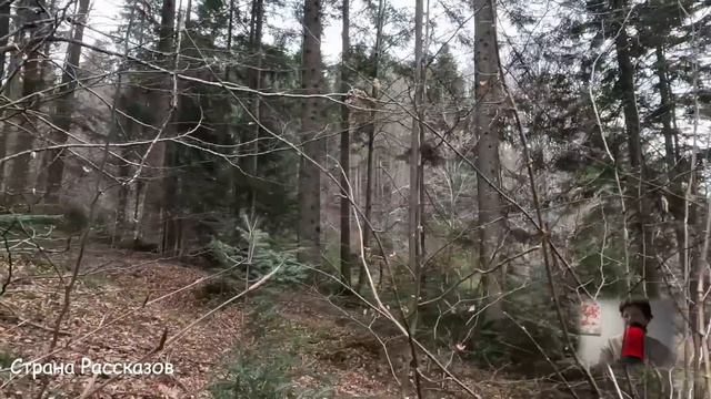 Нечаянно подслушав планы свекрови, невестка помчалась к нотариусу... смотреть онлайн