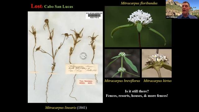 Plant Rediscoveries in Baja California and Discoveries in San Diego with Jon Rebman смотреть онлайн