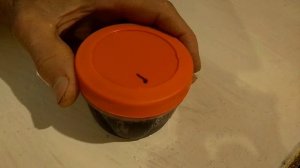 Мумие - как приготовить и как принимать.