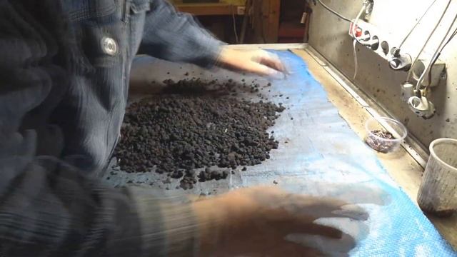 Составьте свой правильный корм для Дендробены. 3часть. смотреть онлайн