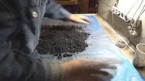 Составьте свой правильный корм для Дендробены.  3часть.