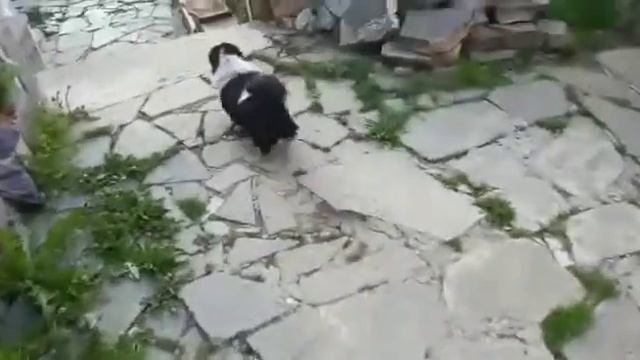 a luat-o razna fix la ora 6 dimineața смотреть онлайн