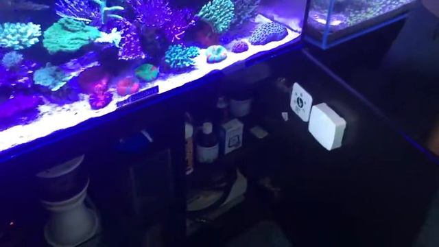 Having someone Service your tank does not make your tank their responsibility смотреть онлайн