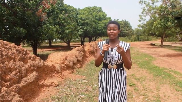 Naa Jeringa Wall: A defense wall built with human beings, honey, milk and shea butter смотреть онлайн