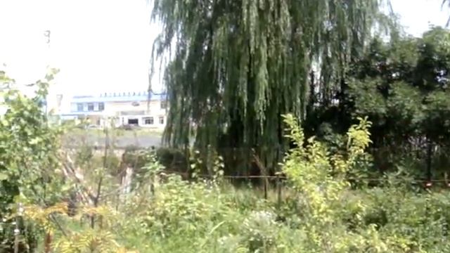 Расширение трассы Кавказ до палисадника начало смотреть онлайн