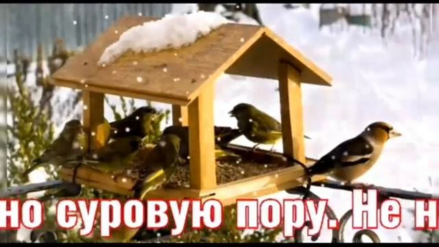 ОБЯЗАТЕЛЬНО! Чтоб весною птичек слушать, дай зимою им покушать. смотреть онлайн