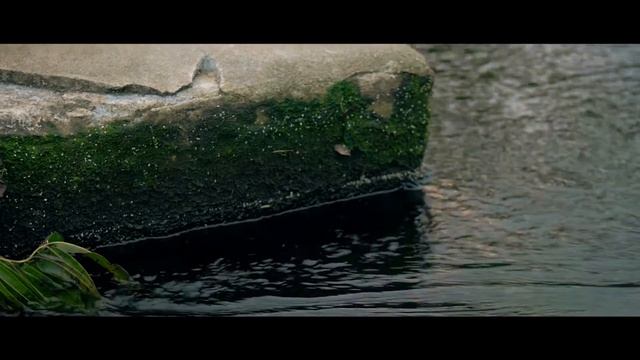 GH4 - 4k to 1080 Cinematic test footage, 42.5mm 1.7 смотреть онлайн