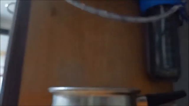кот мотя \наше вам\ смотреть онлайн