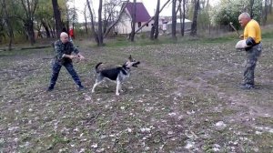 VID 20150510 122909 x264
