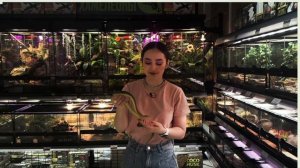 5 ПРИЧИН НЕ ЗАВОДИТЬ ЗМЕЙ ДОМА - ПИТОНА, ПОЛОЗА И УДАВА | ЧЕМ ОНИ ПЛОХИ?