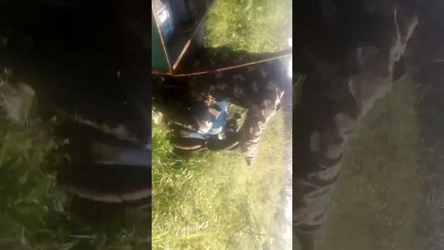 VID 20180730 162451 смотреть онлайн
