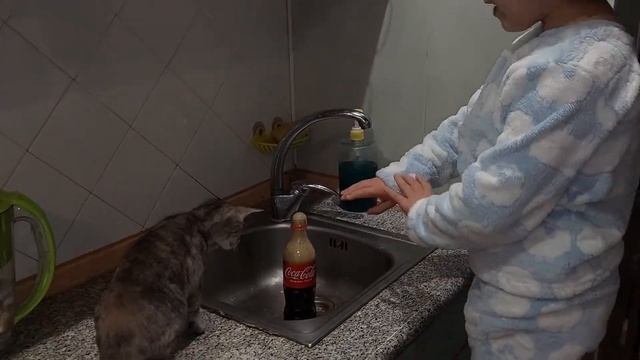 Ментос и Кола. Домашний эксперимент смотреть онлайн