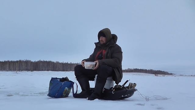 ЖЕРЛИЦЫ НЕ ДАЮТ ПОКОЯ.ТАКОЙ КЛЁВЧТО ДАЖЕ ЧАЙ НЕ УСПЕЕШЬ ПОПИТЬ.